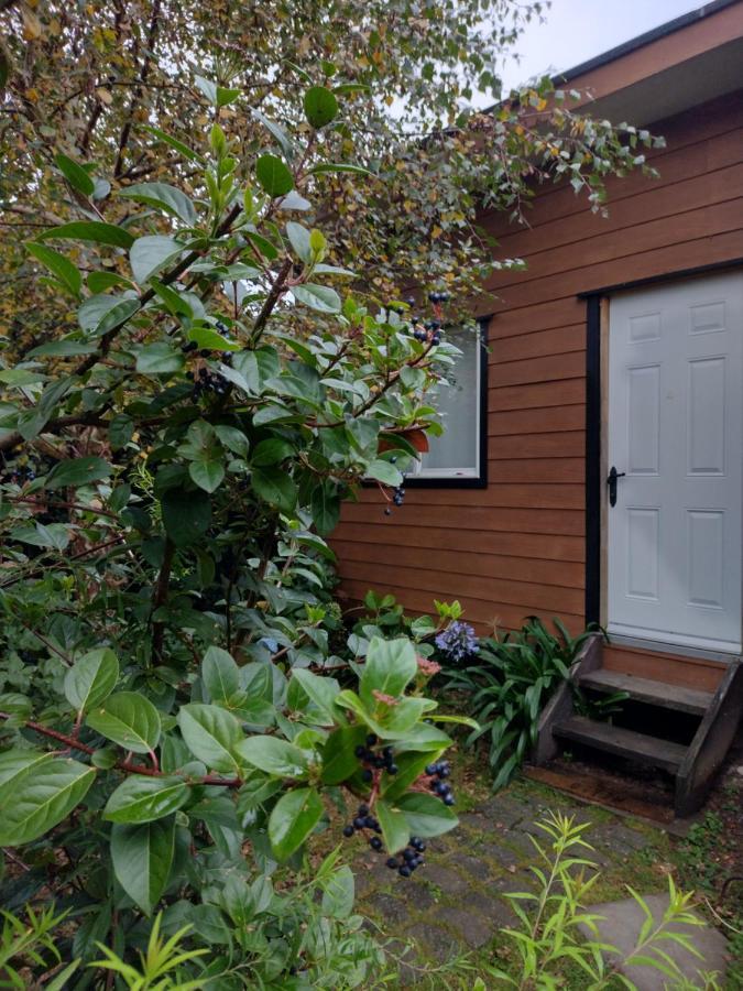 Borde Iv - V Apartamento Puerto Varas